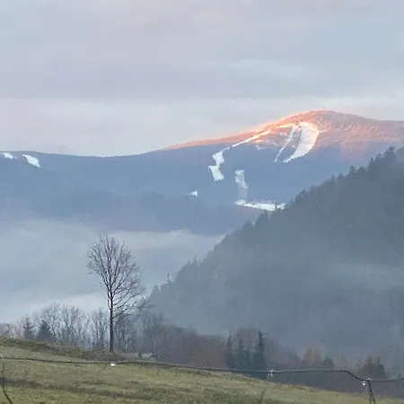 Pod Lasem - Brzozowy Stronie Śląskie