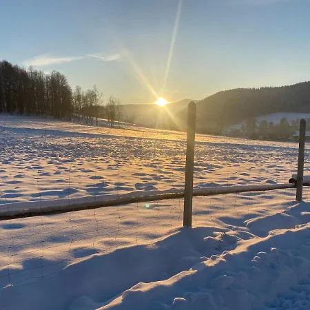 Pod Lasem - Brzozowy * Stronie Śląskie