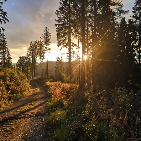 Pod Lasem - Brzozowy Nyaraló *