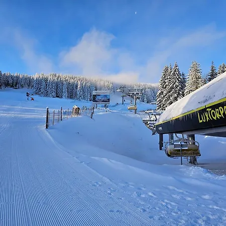 Nyaraló Pod Lasem - Brzozowy *