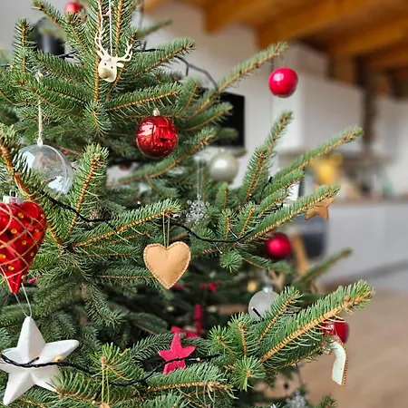 Pod Lasem - Brzozowy * Stronie Śląskie