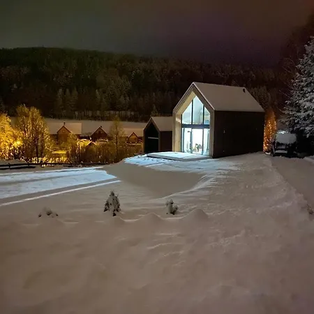 Pod Lasem - Brzozowy Holiday home Stronie Slaskie