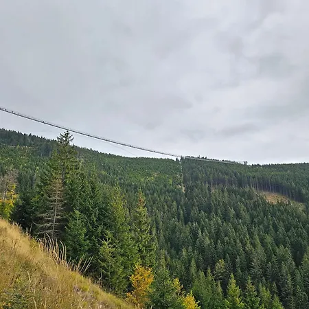 Pod Lasem - Brzozowy