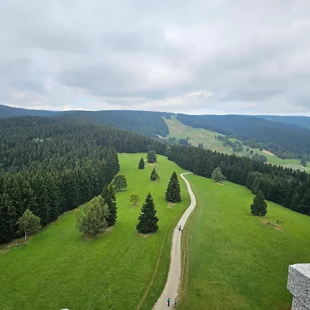 Pod Lasem - Brzozowy Nyaraló