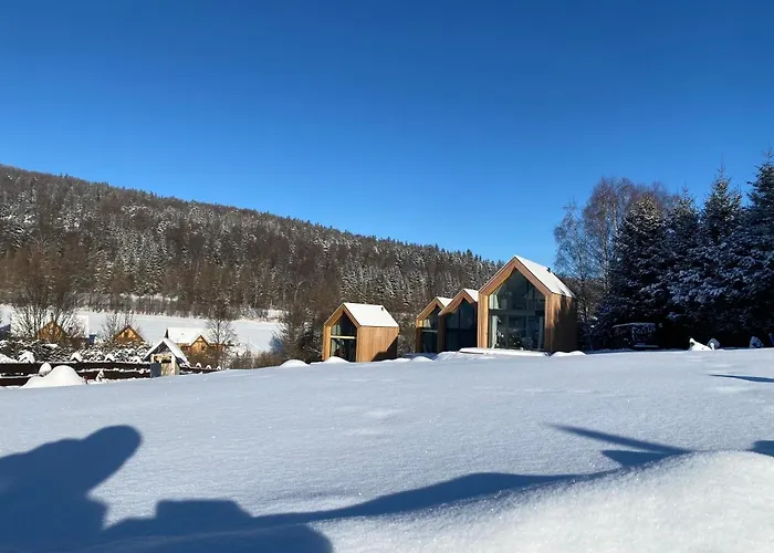 Pod Lasem - Brzozowy Casa vacanze Stronie Śląskie