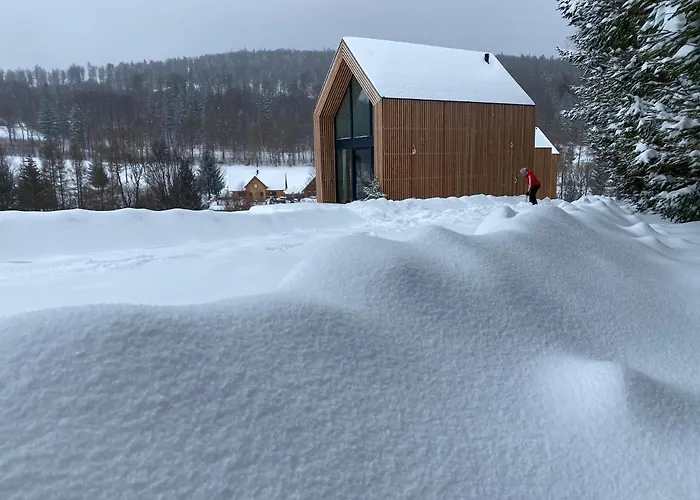 Feriehus Pod Lasem - Brzozowy *