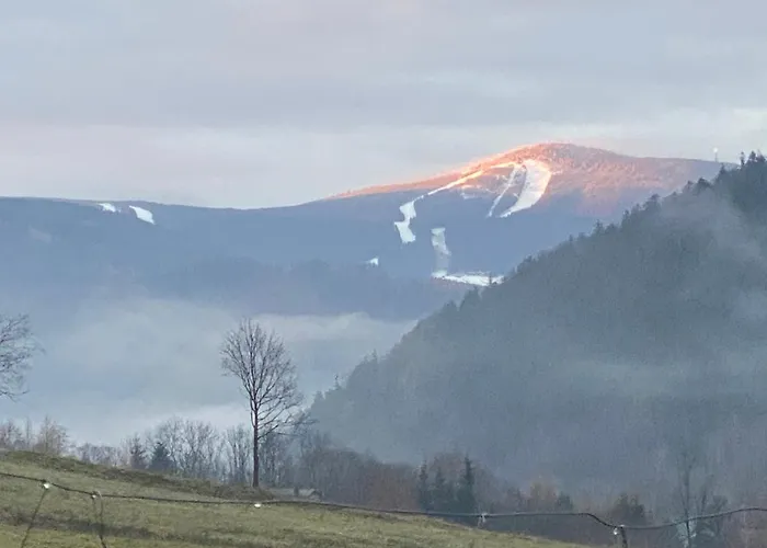 Pod Lasem - Brzozowy Stronie Śląskie