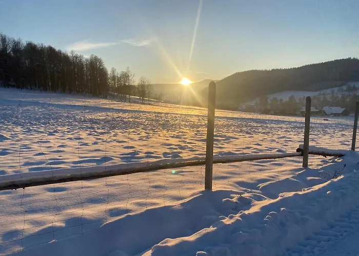 Pod Lasem - Brzozowy * Stronie Śląskie