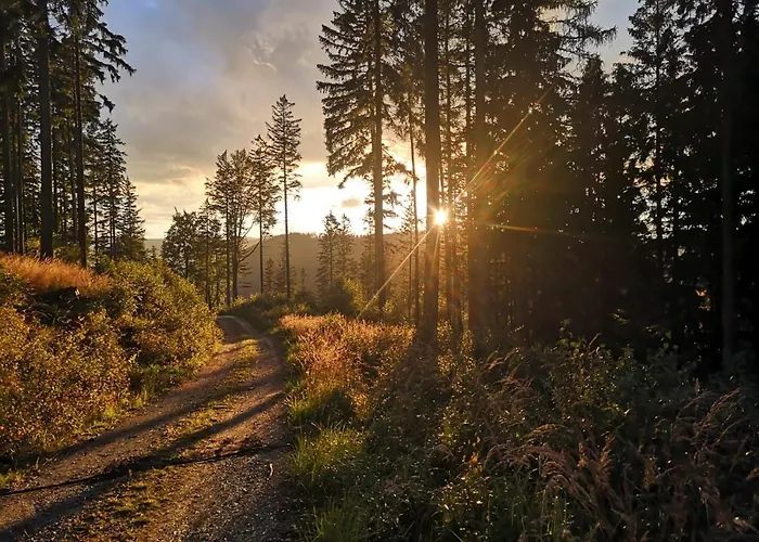 Pod Lasem - Brzozowy Feriehus *