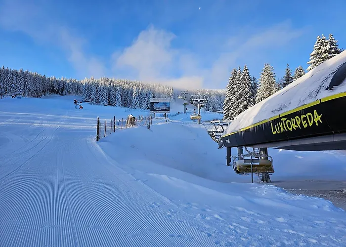 Dom wakacyjny Pod Lasem - Brzozowy *