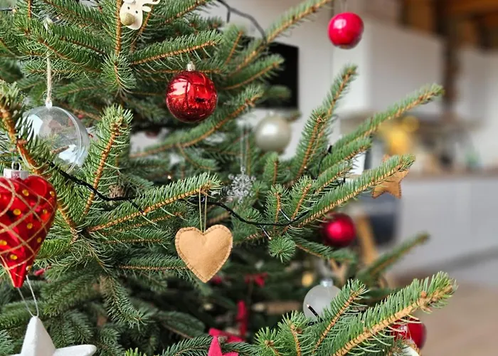 Pod Lasem - Brzozowy * Stronie Śląskie