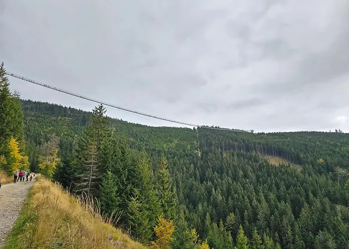 Pod Lasem - Brzozowy