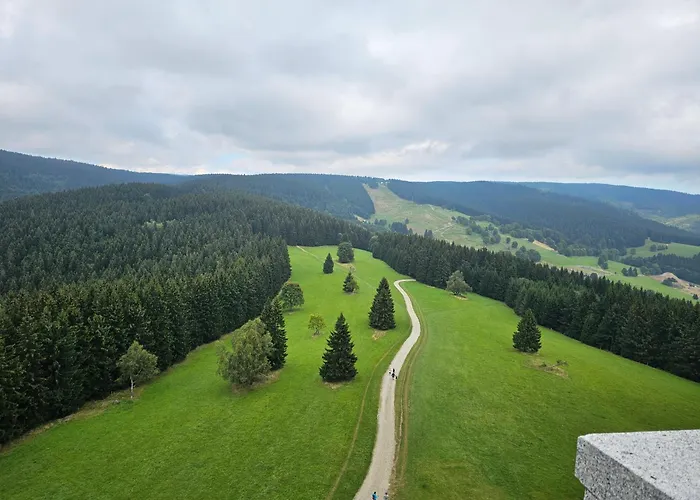 Pod Lasem - Brzozowy Dom wakacyjny