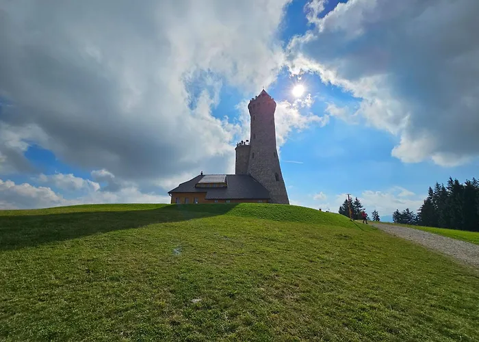 Pod Lasem - Brzozowy Stronie Śląskie