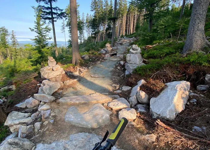 Casa vacanze Pod Lasem - Brzozowy *