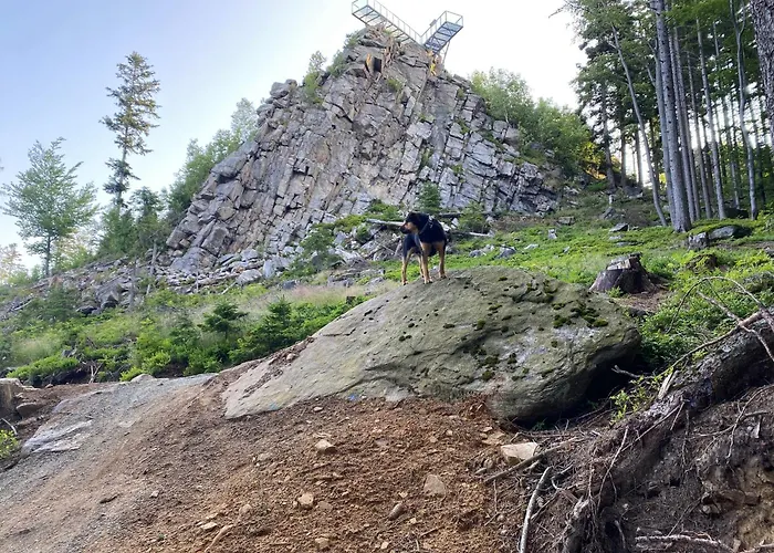 Pod Lasem - Brzozowy * Stronie Śląskie