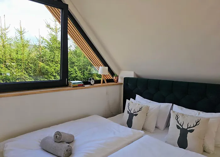 Pod Lasem - Brzozowy *